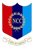 NSS Logo